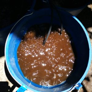 Compost