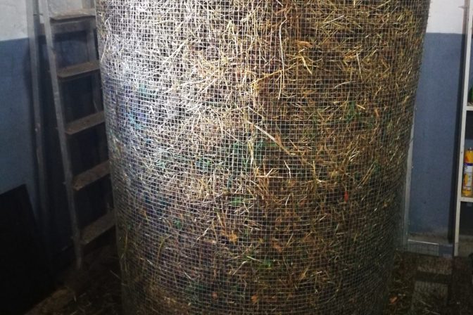 ¡Tierra feliz, plantas felices! El secreto del compost y el humus.
