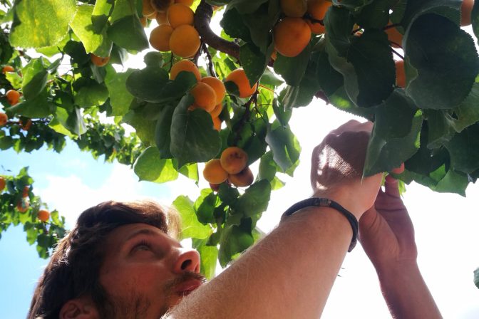¡Regenerando la Tierra, Cultivando el Futuro! Explorando los tipos de Agricultura Regenerativa