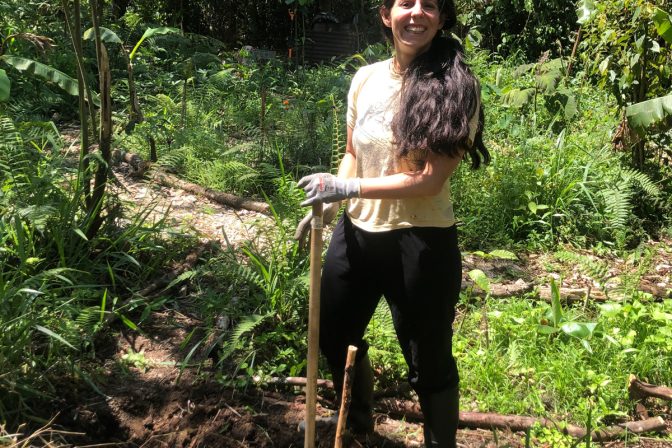 Desvelando los Secretos de la Agricultura Sintrópica: Cultivando en Armonía con la Naturaleza